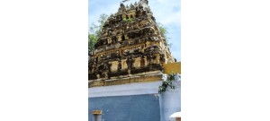 புதுப்பாடி